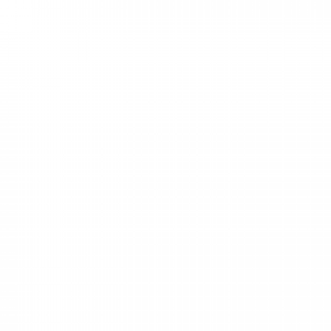 25234d4f33cd2c3a99aad1fed0c0.png