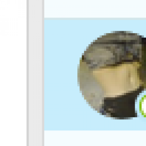 7f6c7121e9b35d4e2dd8809541e7.png