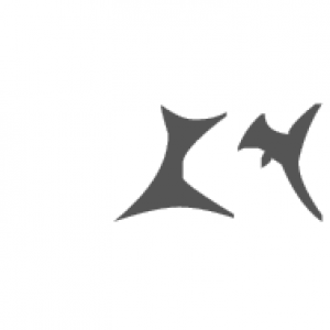 89875d55b44a98213733a856410c.png